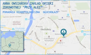PORADNIA DIABETOLOGICZNA - ANNA OWSIAŃSKA ZAKŁAD OPIEKI ZDROWOTNEJ "PRZY ALEI" - UL. PRYMASA STEFANA WYSZYŃSKIEGO 1A,  GŁUCHOŁAZY
