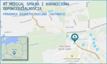 PORADNIA DIABETOLOGICZNA - NT MEDICAL SPÓŁKA Z OGRANICZONĄ ODPOWIEDZIALNOŚCIĄ - UL. UL. BOYA ŻELEŃSKIEGO 77,  KATOWICE